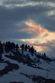 Sunset casting golden light over pine forests and rolling hills near Dharamshala, with trekkers silhouetted against the sky.