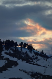 Sunset casting golden light over pine forests and rolling hills near Dharamshala, with trekkers silhouetted against the sky.