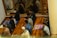 A group of people is seated on prayer mats on a wooden floor, engaged in a religious gathering or ritual. Some participants are wearing hats and face masks. The environment appears to be calm and focused, with a partition or wall depicting decorative cutouts separating them from another area.