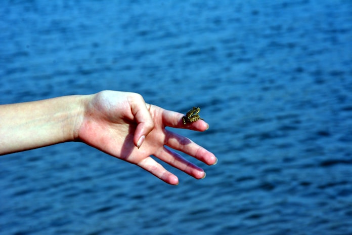 a person's hand reaching out towards a body of water
