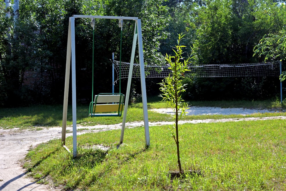 a swing and a tree in a grassy area