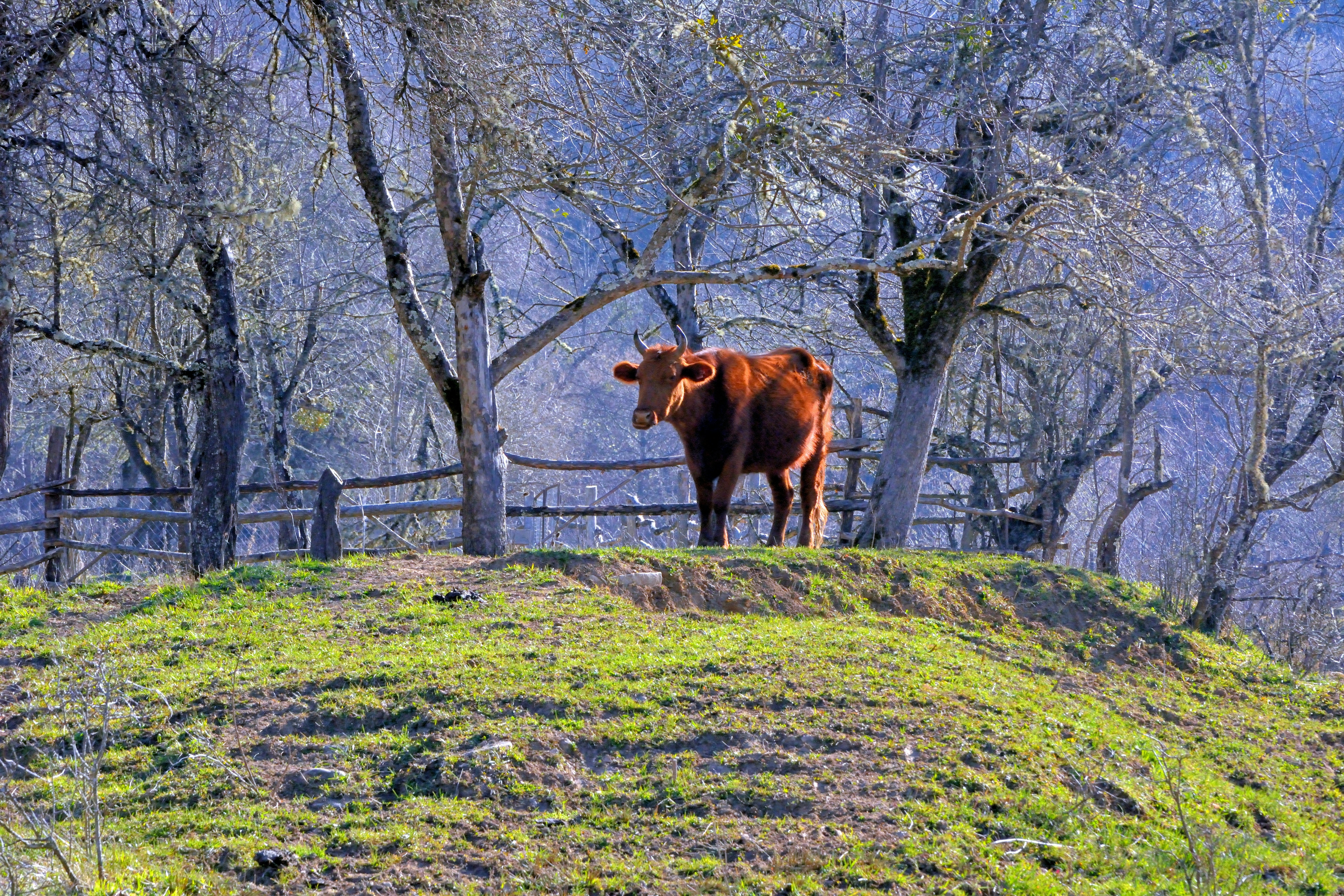 Photo by joneshevchenko