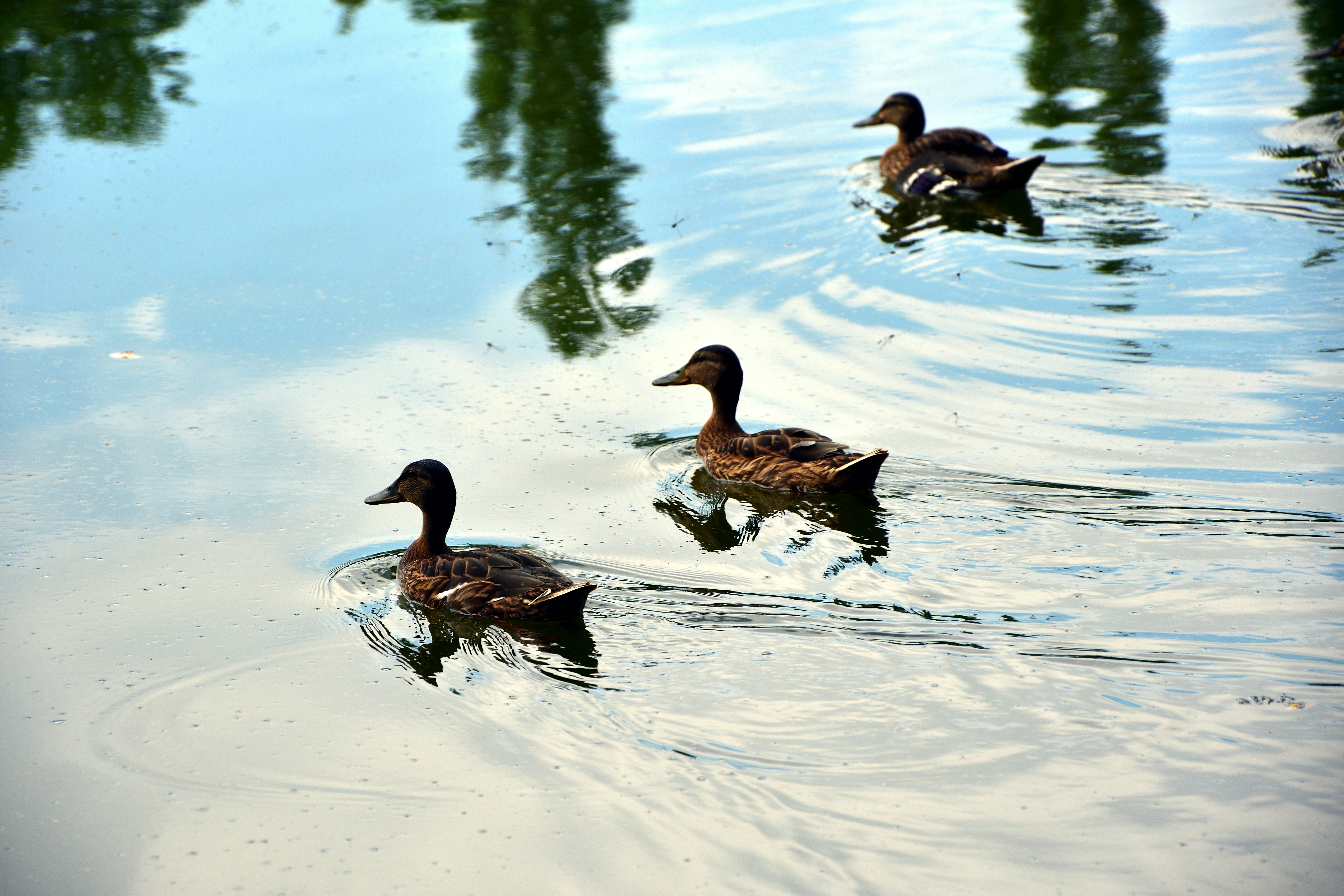 Photo by joneshevchenko