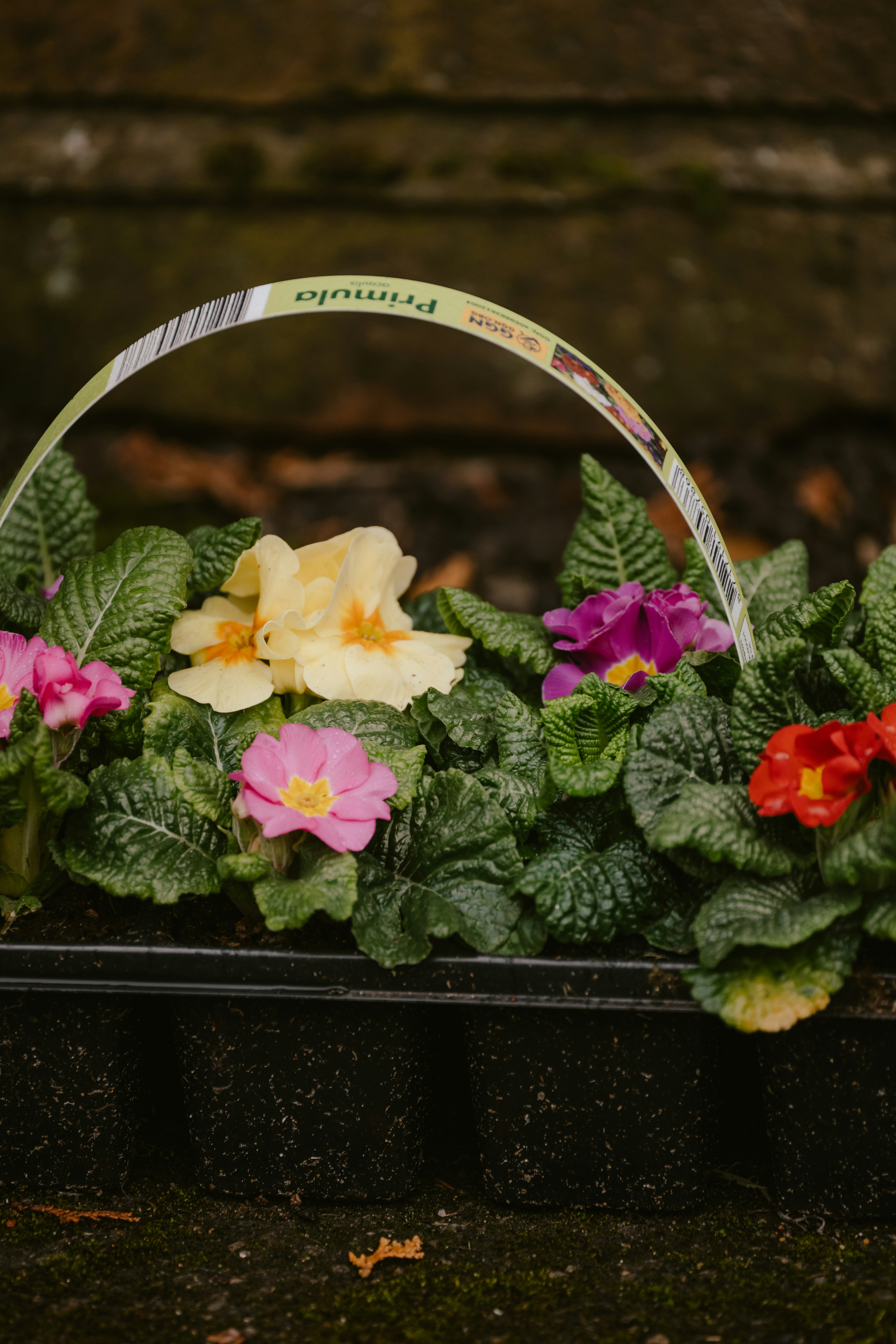 a basket filled with flowers sitting on top of a table
