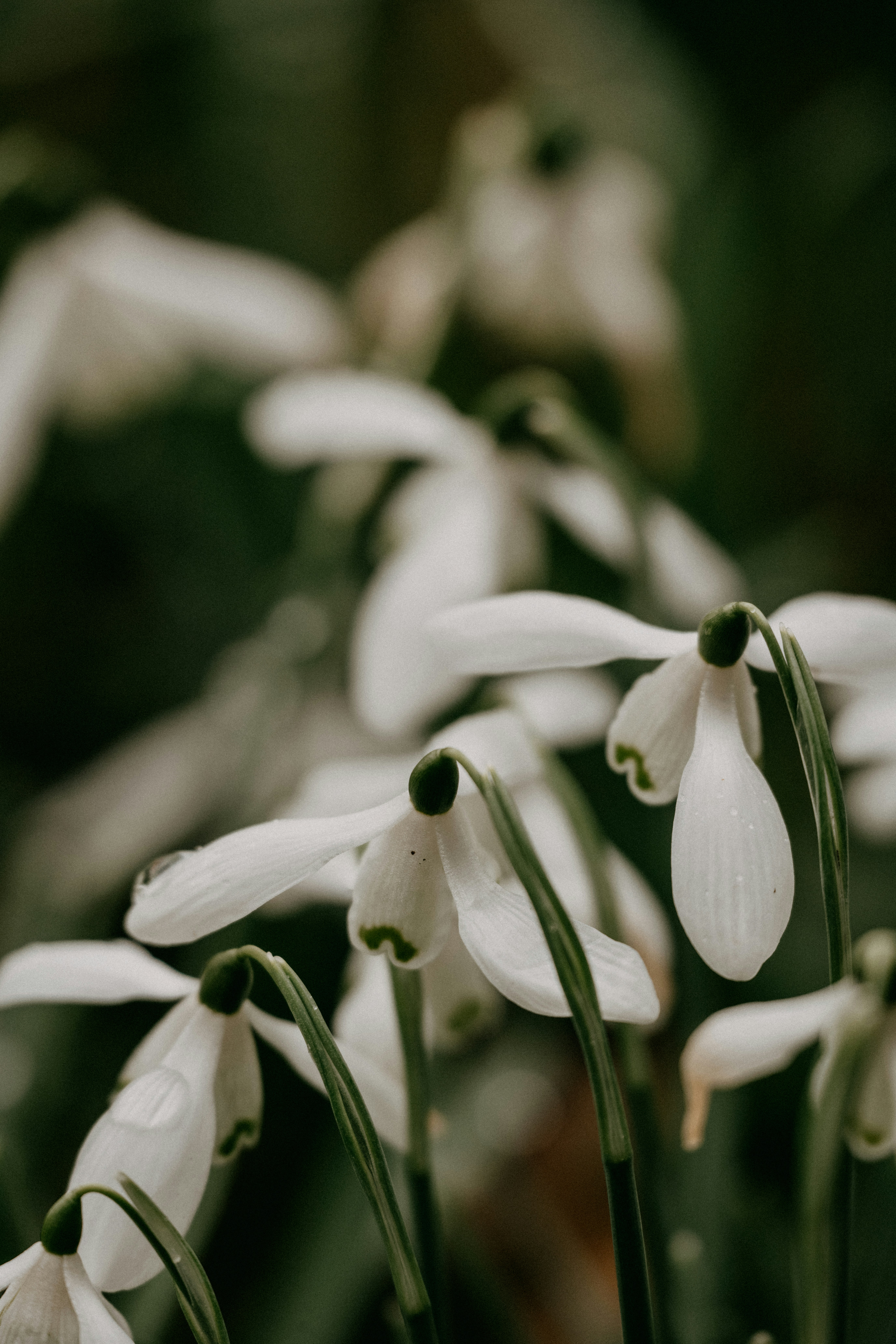 Photo by anniespratt