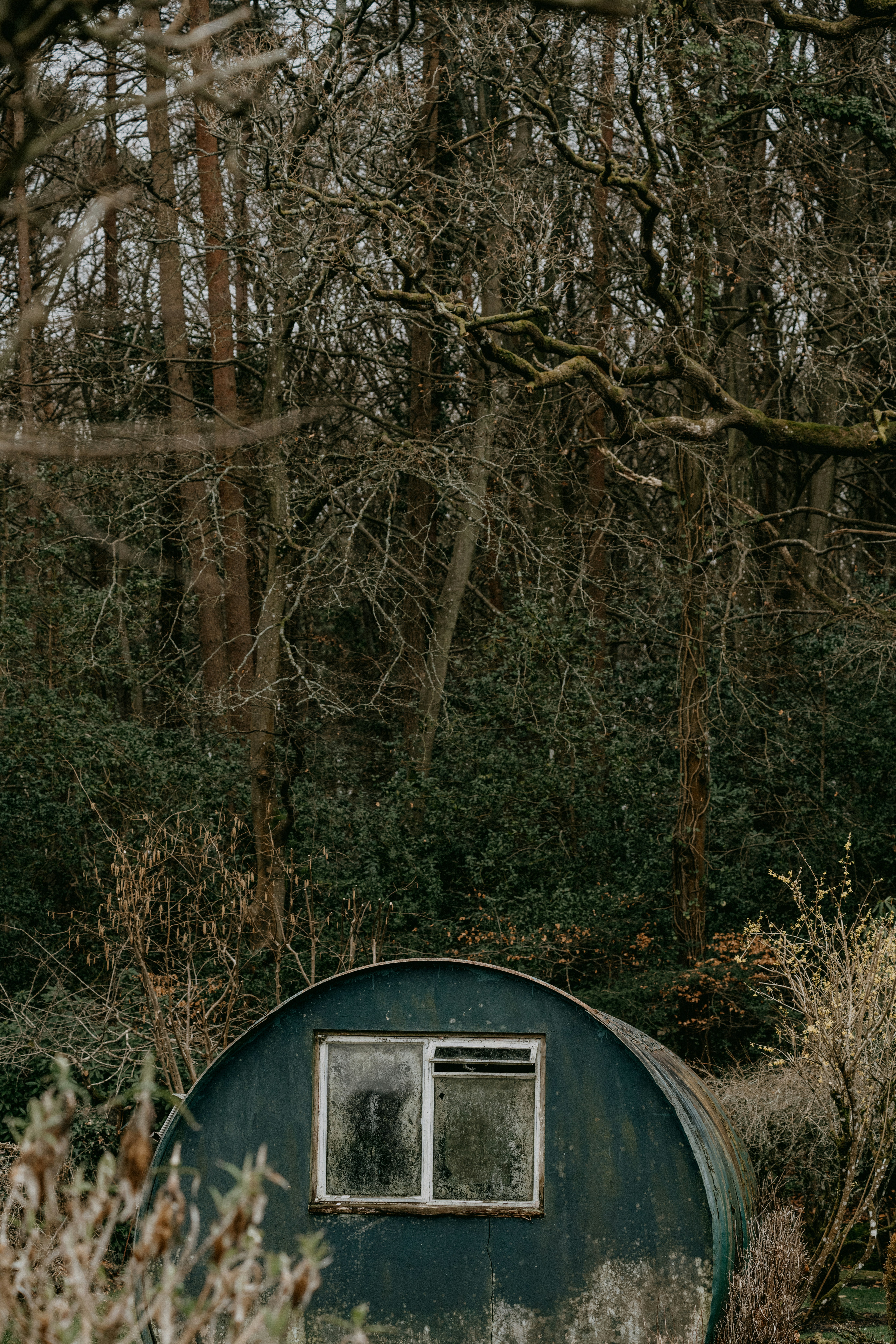 a green outhouse sitting in the middle of a forest