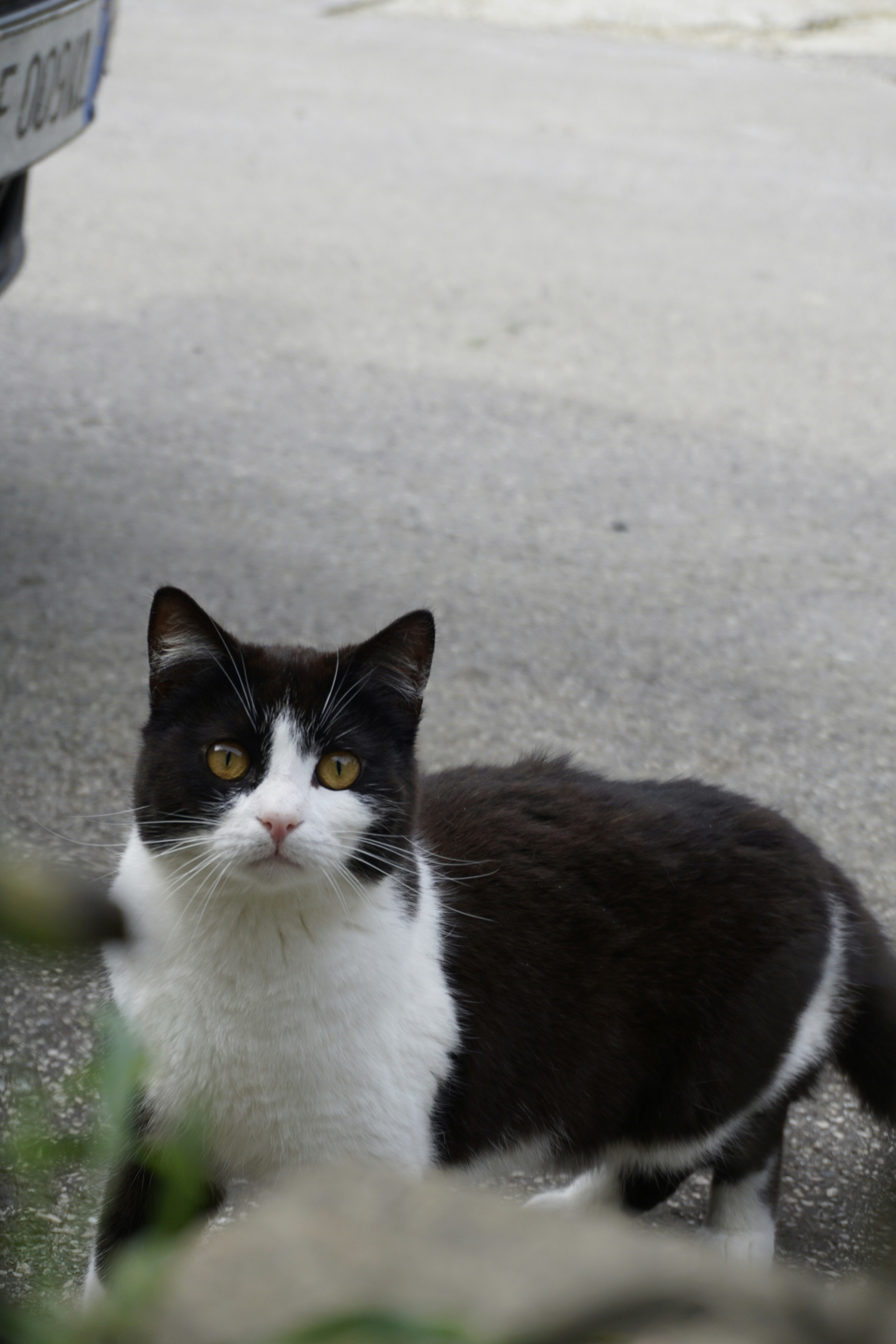 Photo by hardialsingh