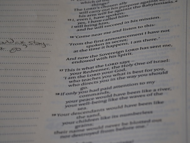 A close-up of an elegant serif typeface on a handwritten journal page next to a muted green pencil.