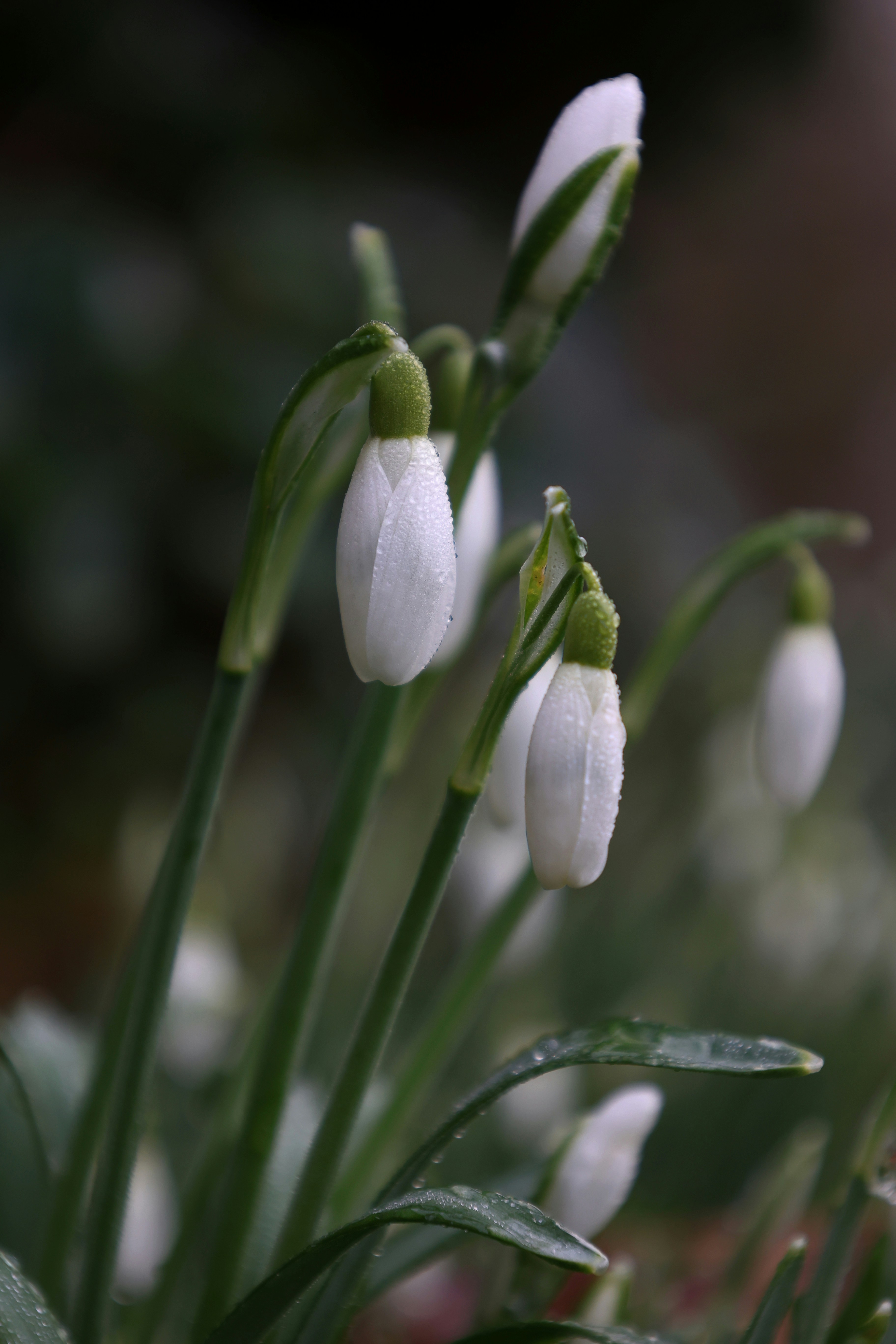 Photo by j_blueberry