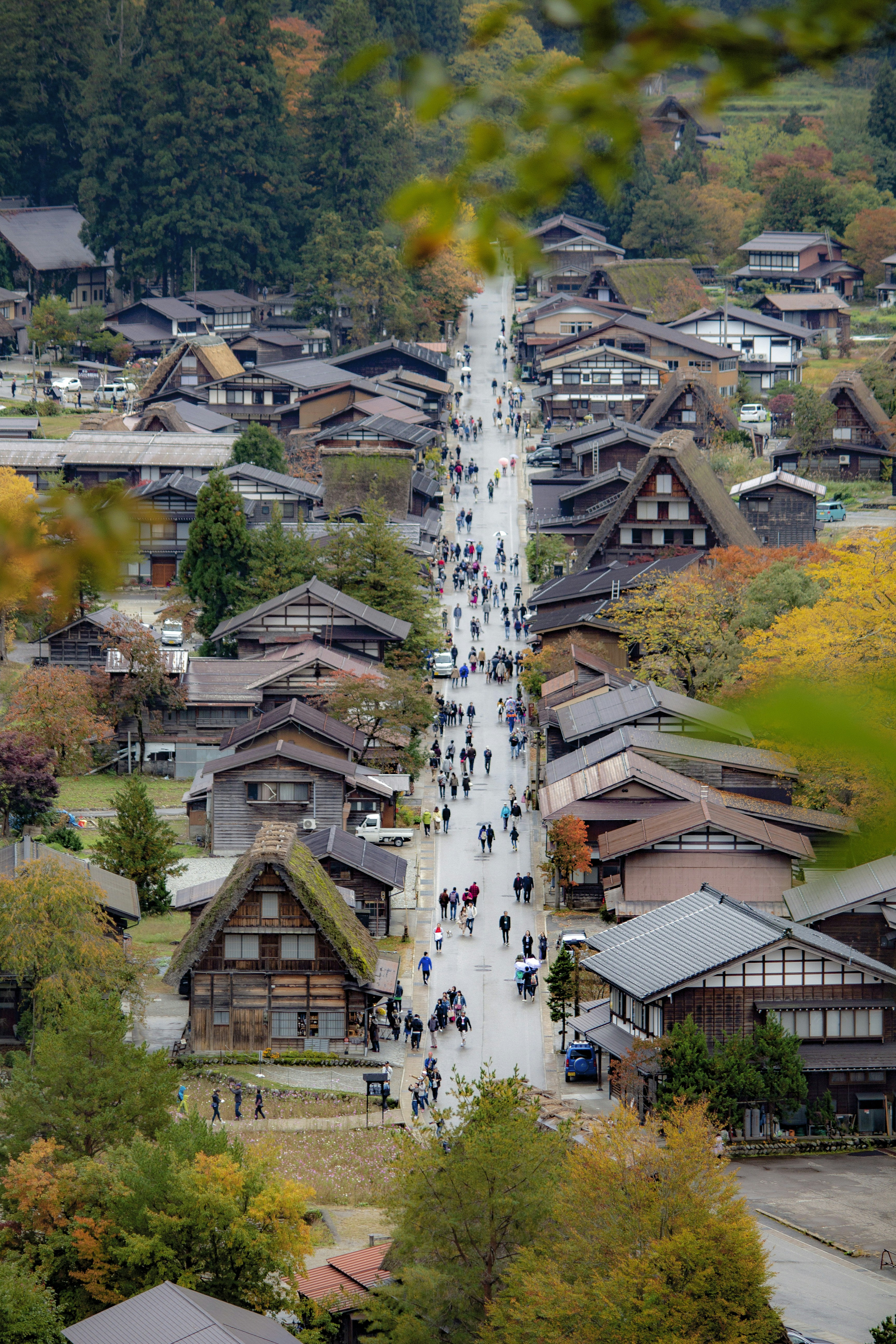 a large group of people walking down a street