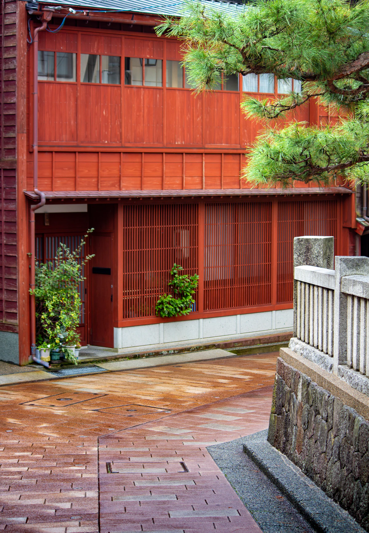 金沢の住宅街にある、木のある戸建ての道（イメージ写真）