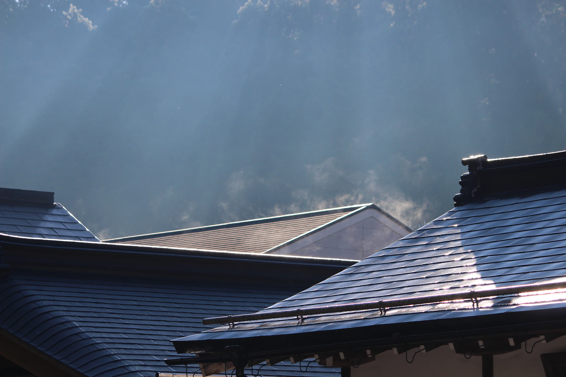 Rooflines shaped by the architecture