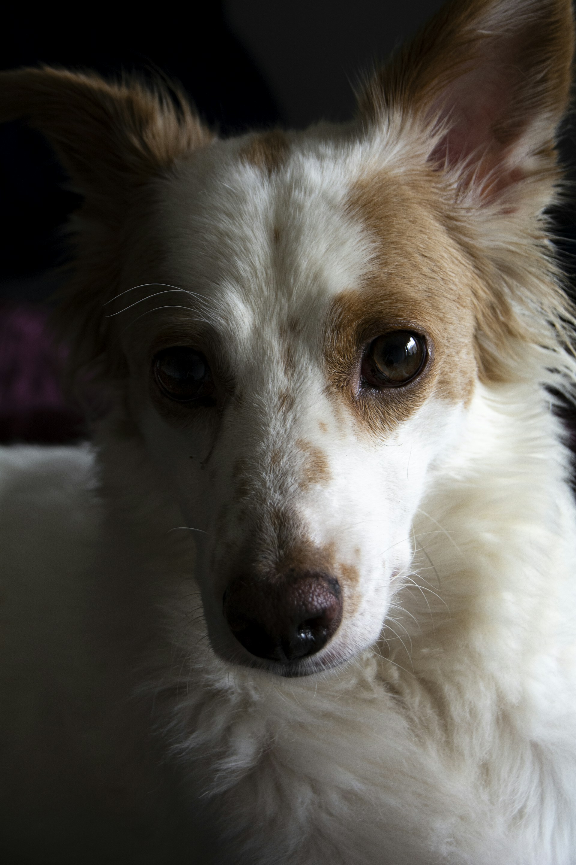 woman wearing yellow long-sleeved dress under white clouds and blue sky during daytime