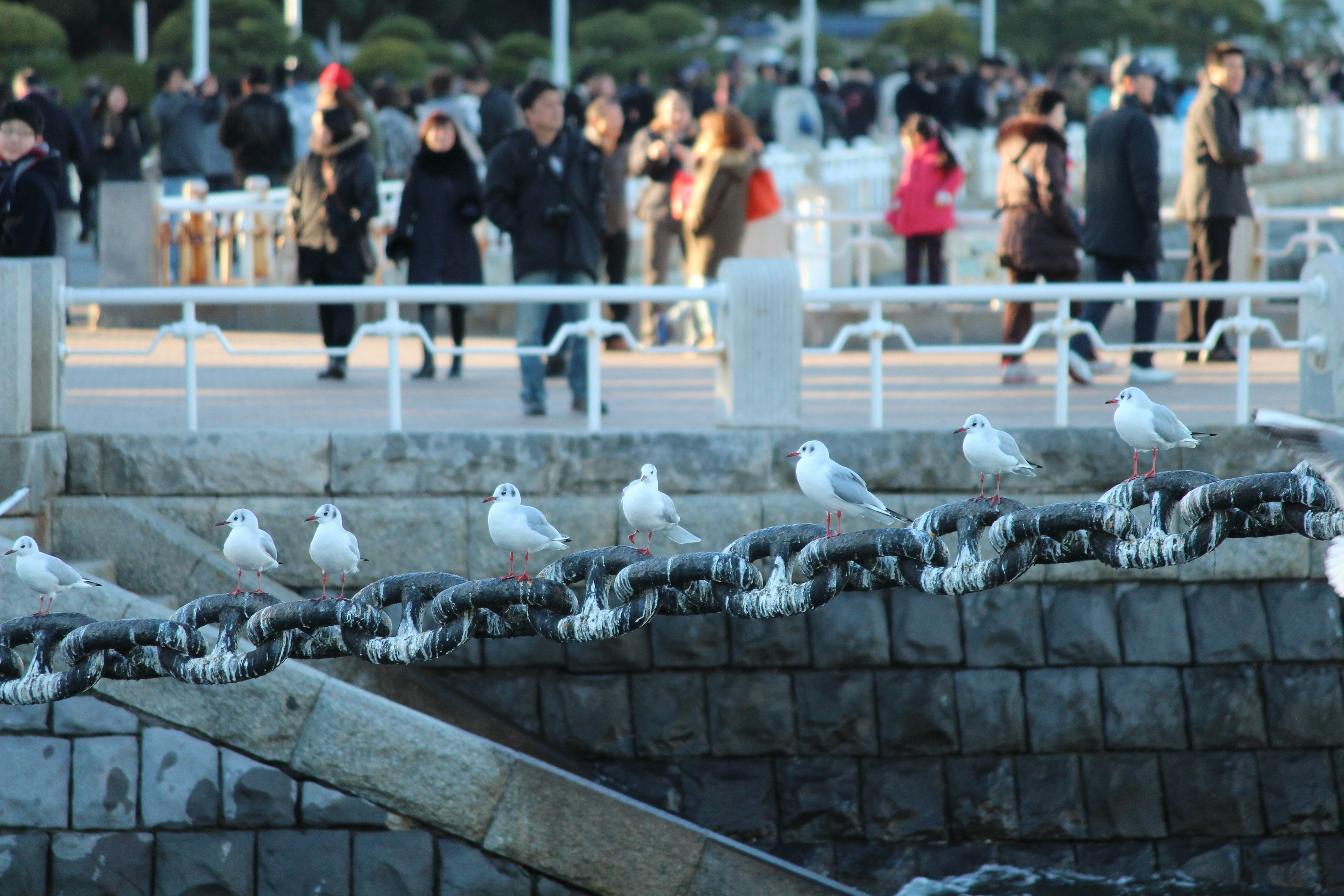 Yokohama travel photo
