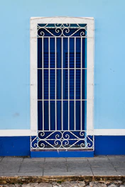 A freshly painted bright blue front door with matching garage door and gate under a sunny sky.
