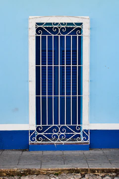 A freshly painted bright blue front door with matching garage door and gate under a sunny sky.