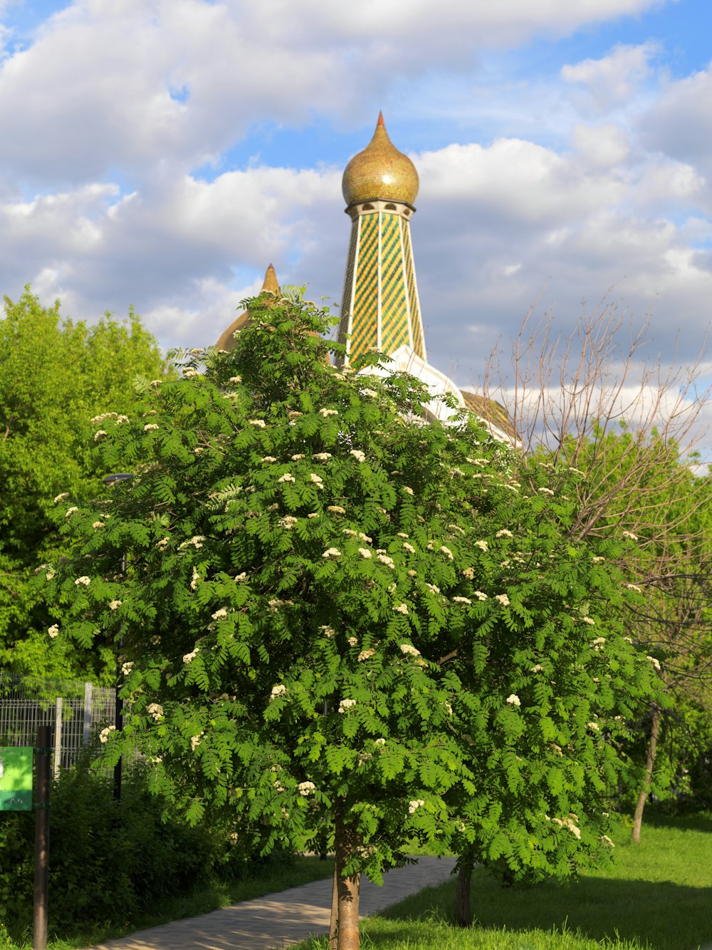 a tree with white flowers in front of a building