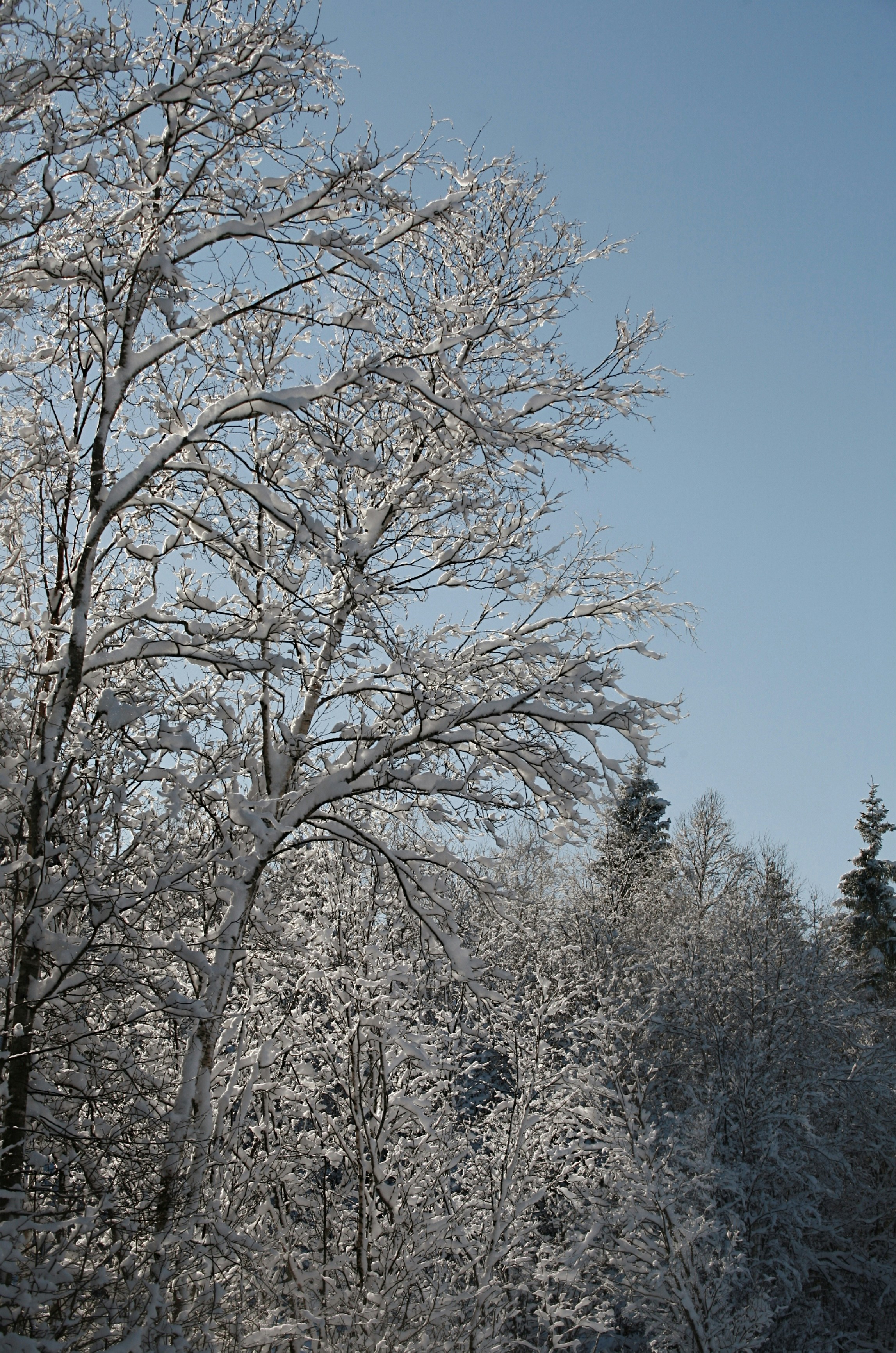 Photo by kristinokarlsen