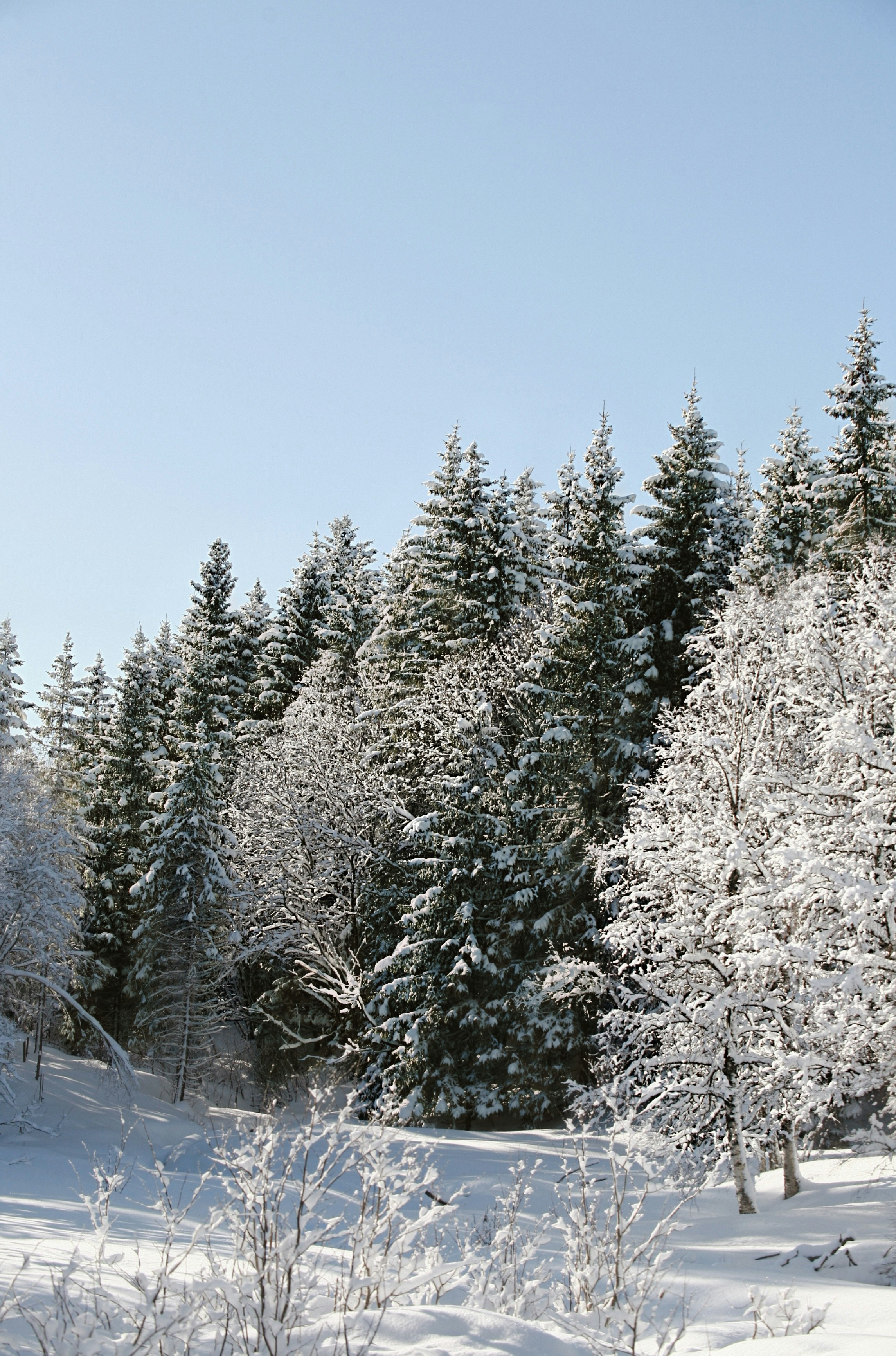 Photo by kristinokarlsen