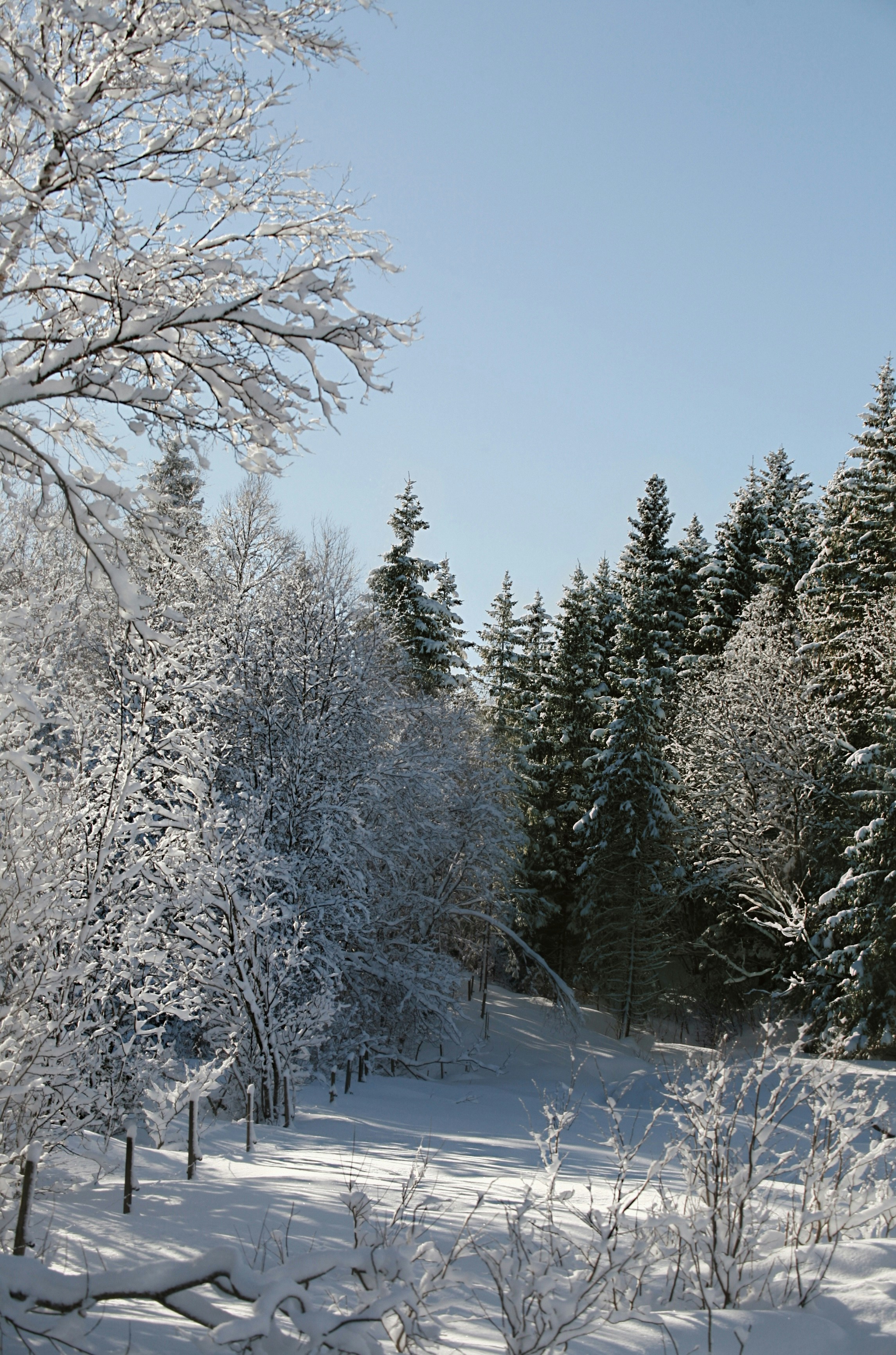 Photo by kristinokarlsen