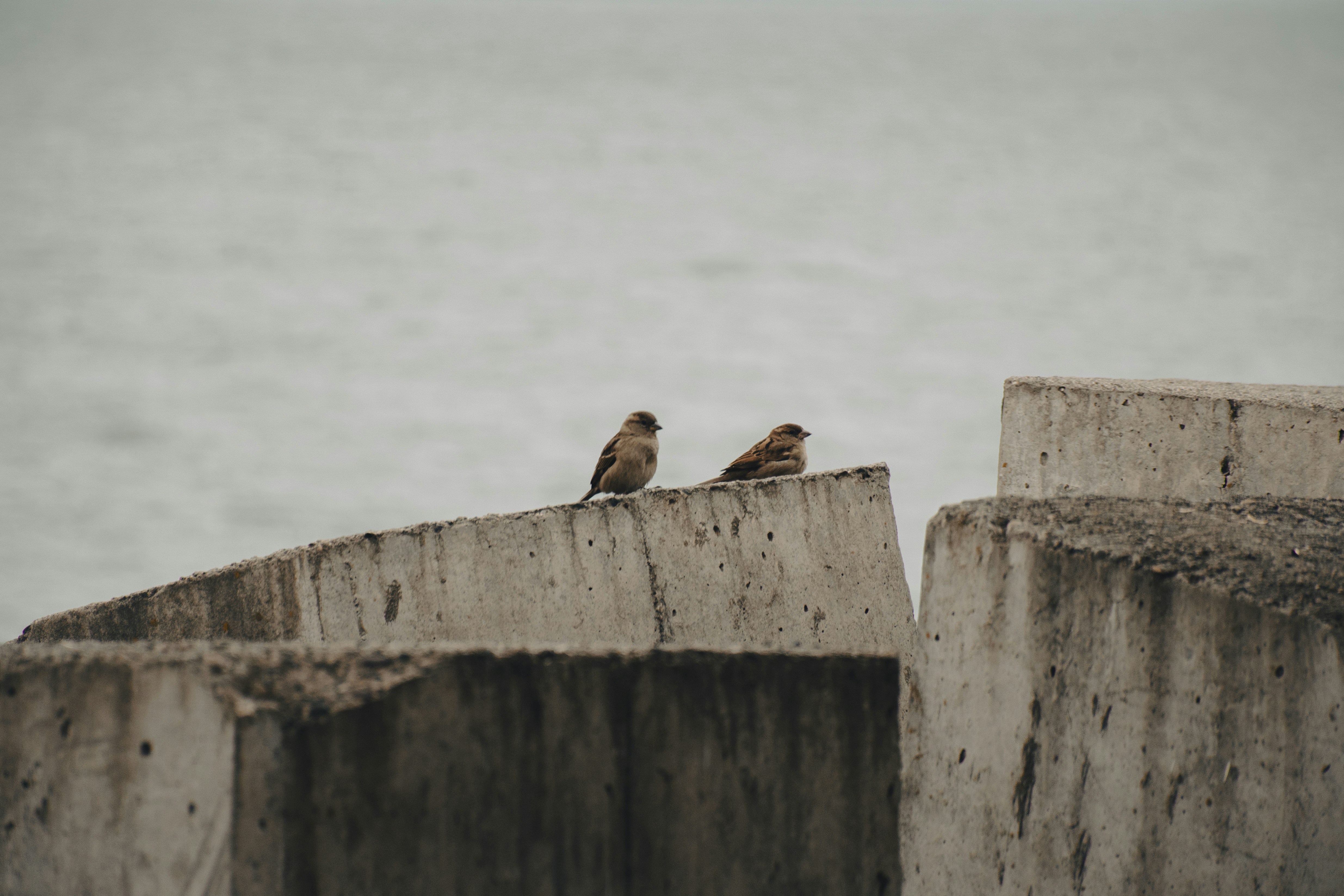 Photo by mmdam20