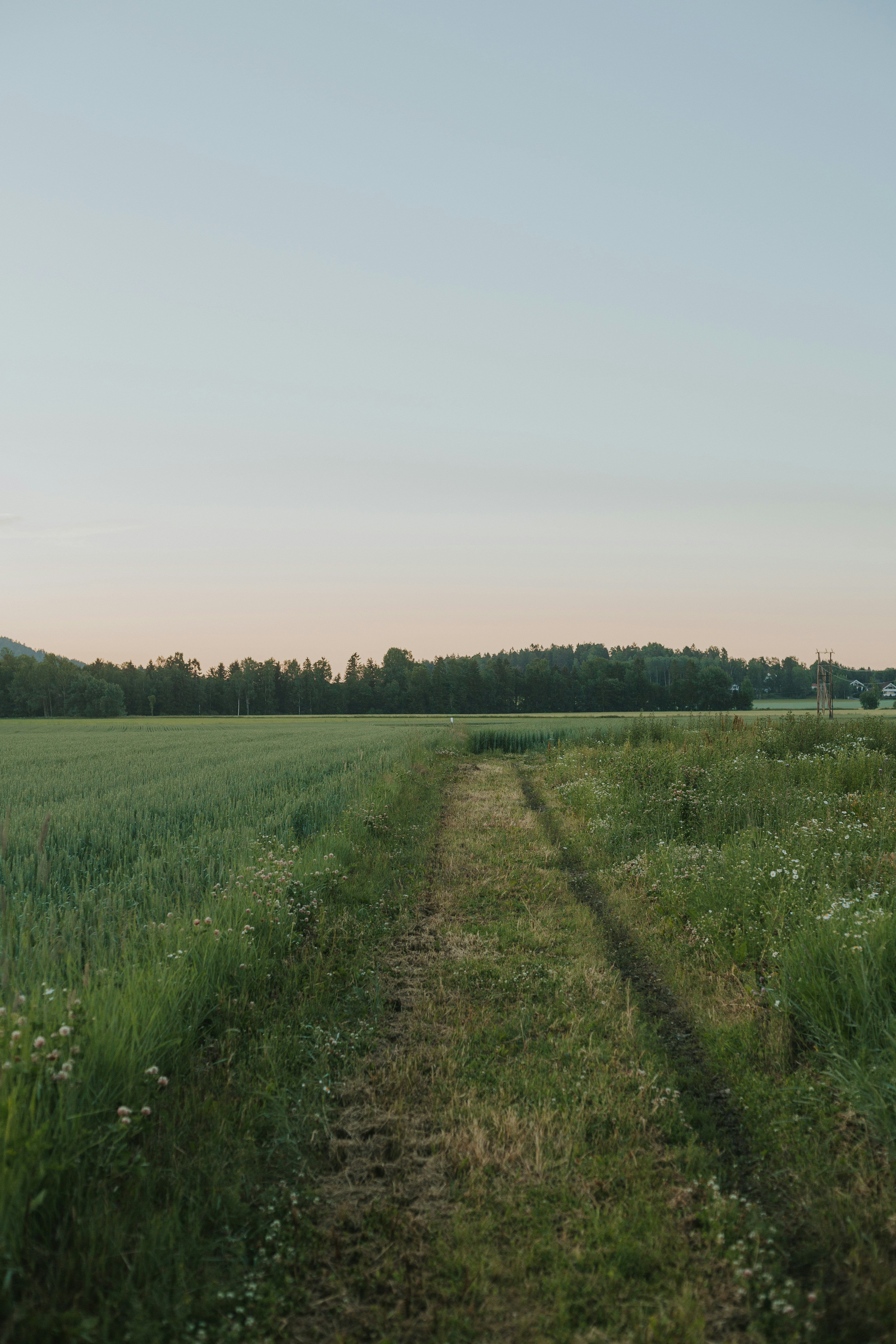 Photo by maxxna