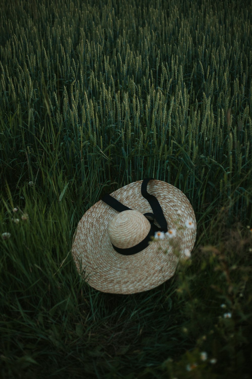 a hat sitting in the middle of a field