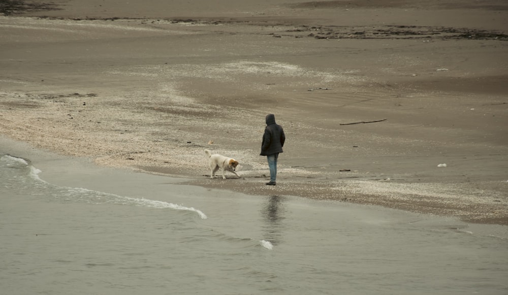 a person walking a dog on a beach