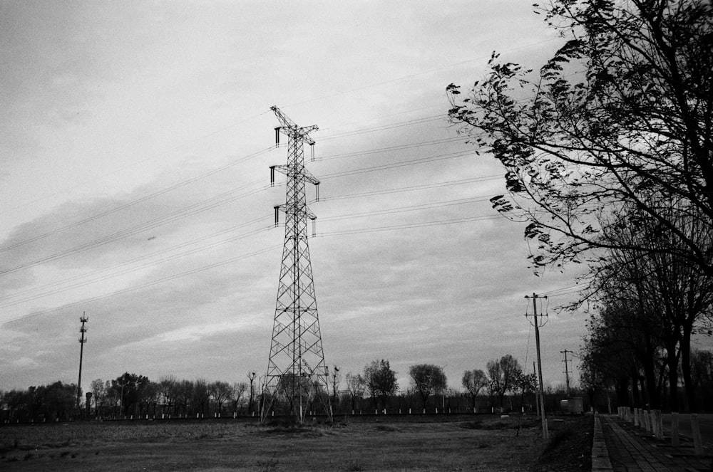 a black and white photo of power lines and trees
