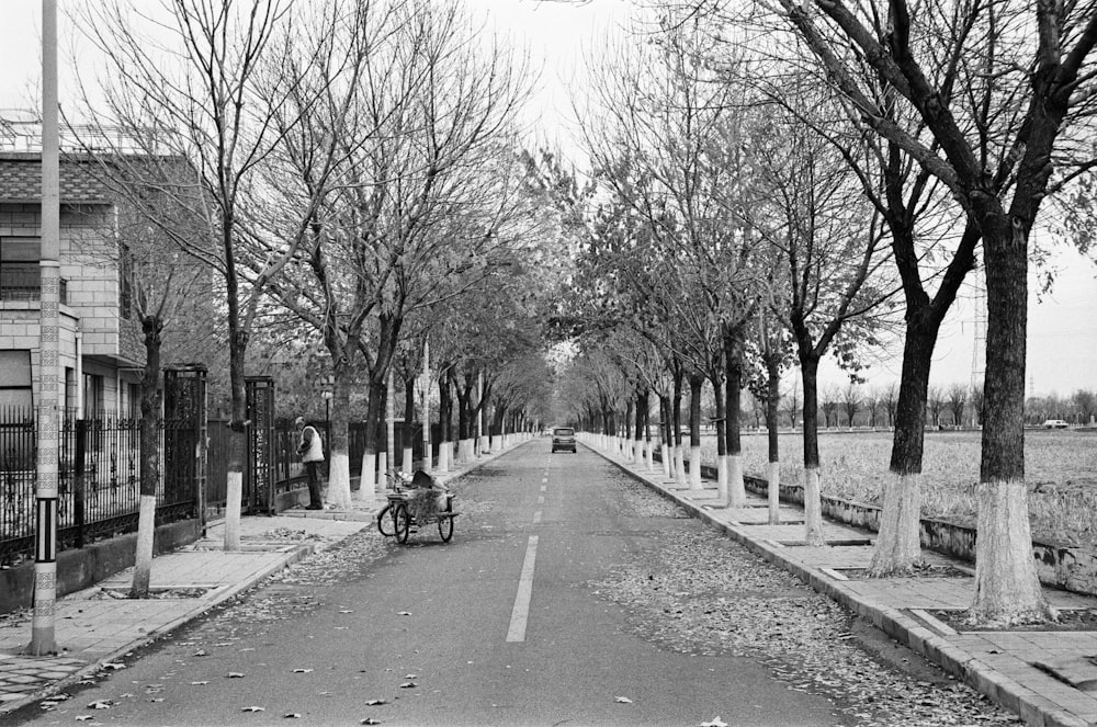 a black and white photo of a street lined with trees