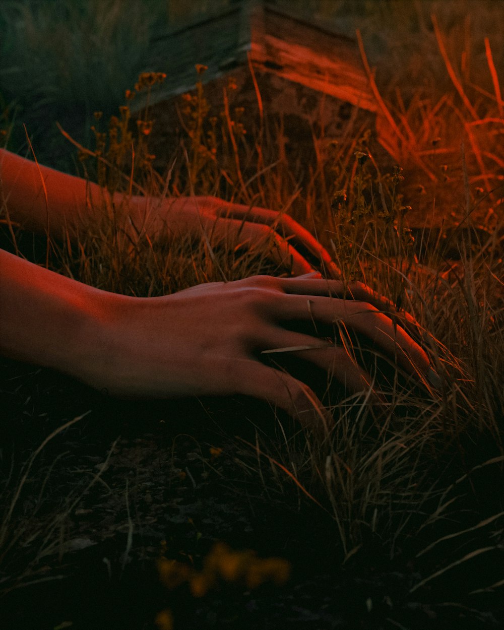 a person's hand resting on the ground in the grass