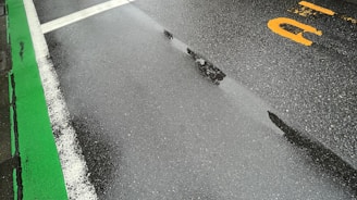 A wet road surface with visible white and green lane markings. The road appears freshly wet, likely due to rain, with reflections visible on the asphalt. There is a partial yellow marking or letter on the right-hand side.