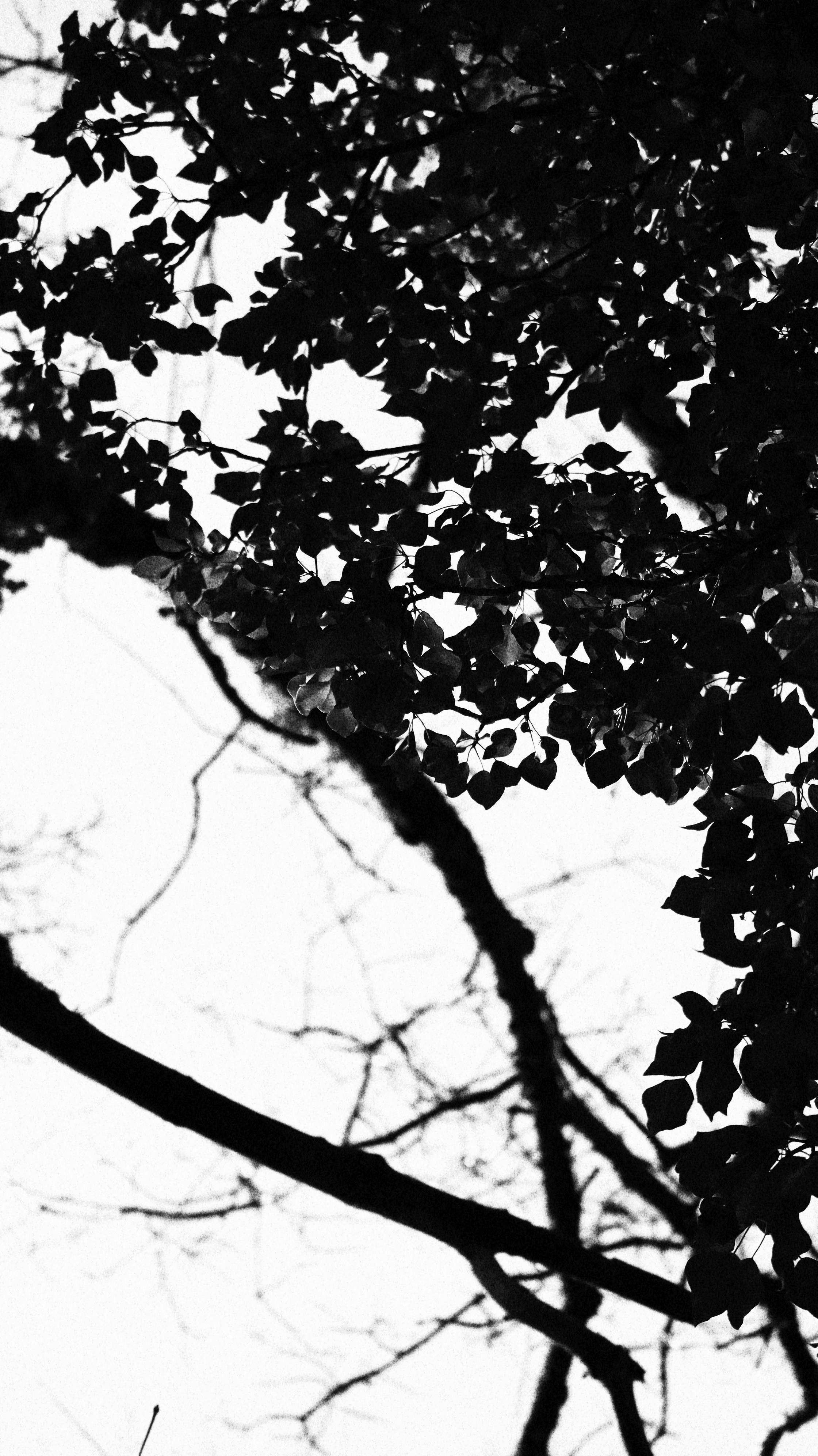 Photo by paleonard04