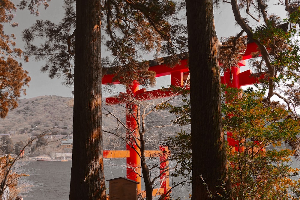 a red and orange gate in the woods by the water