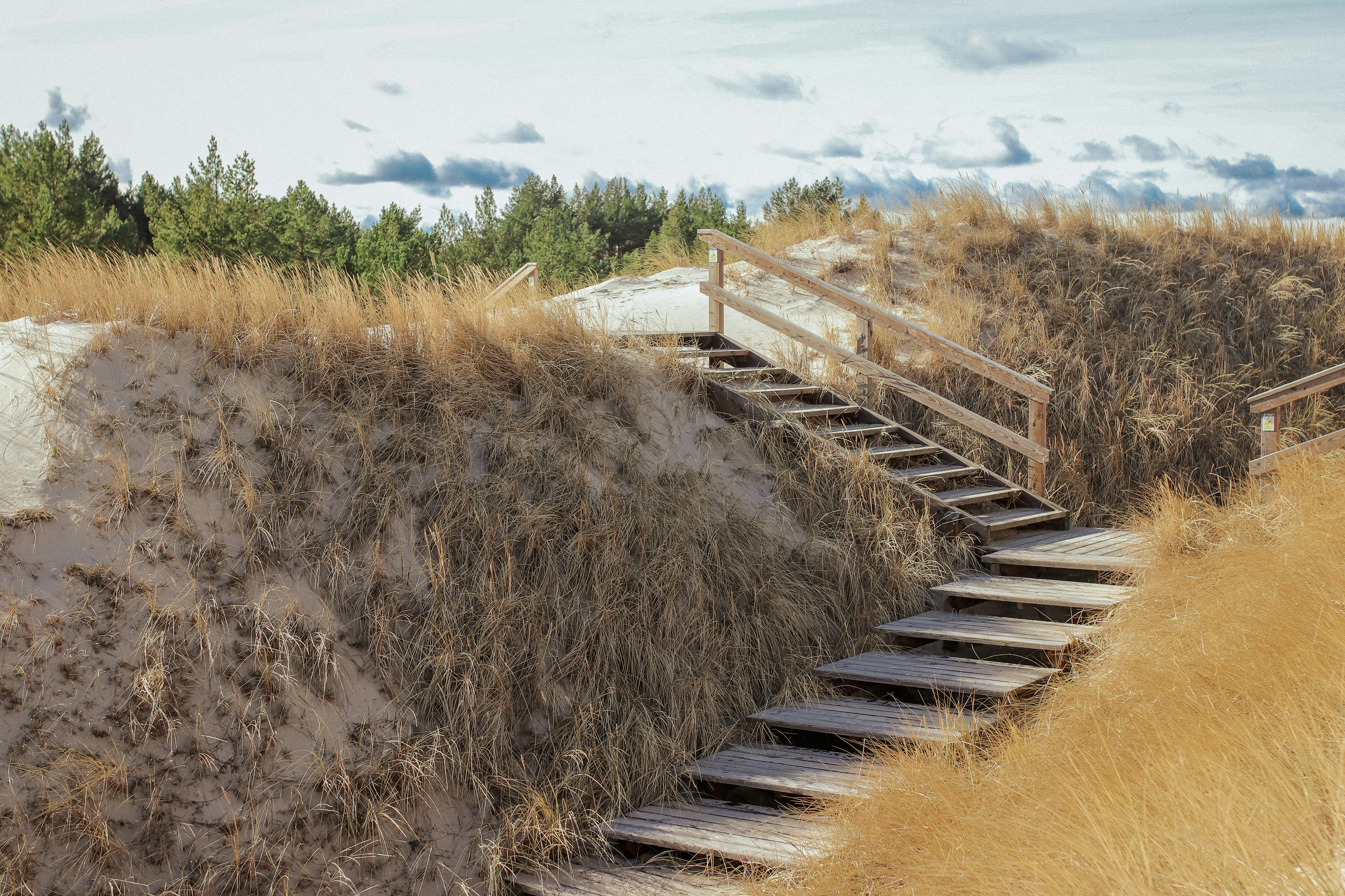 a wooden staircase going down a sandy hill