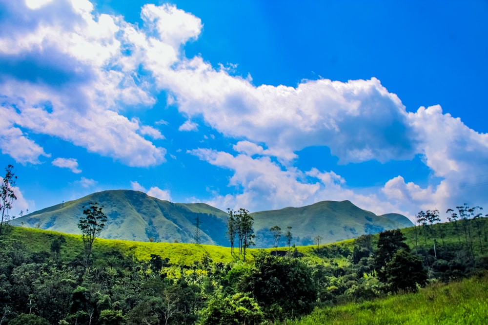 a lush green hillside under a cloudy blue sky