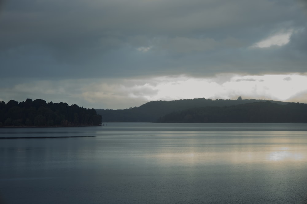 a large body of water surrounded by a forest