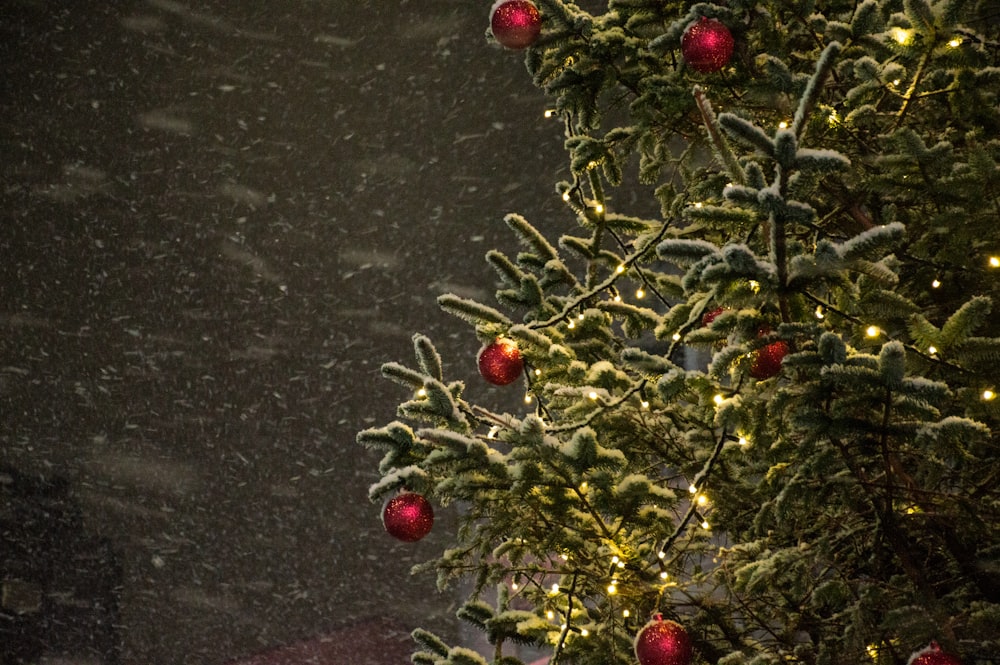 a christmas tree covered in snow with red ornaments