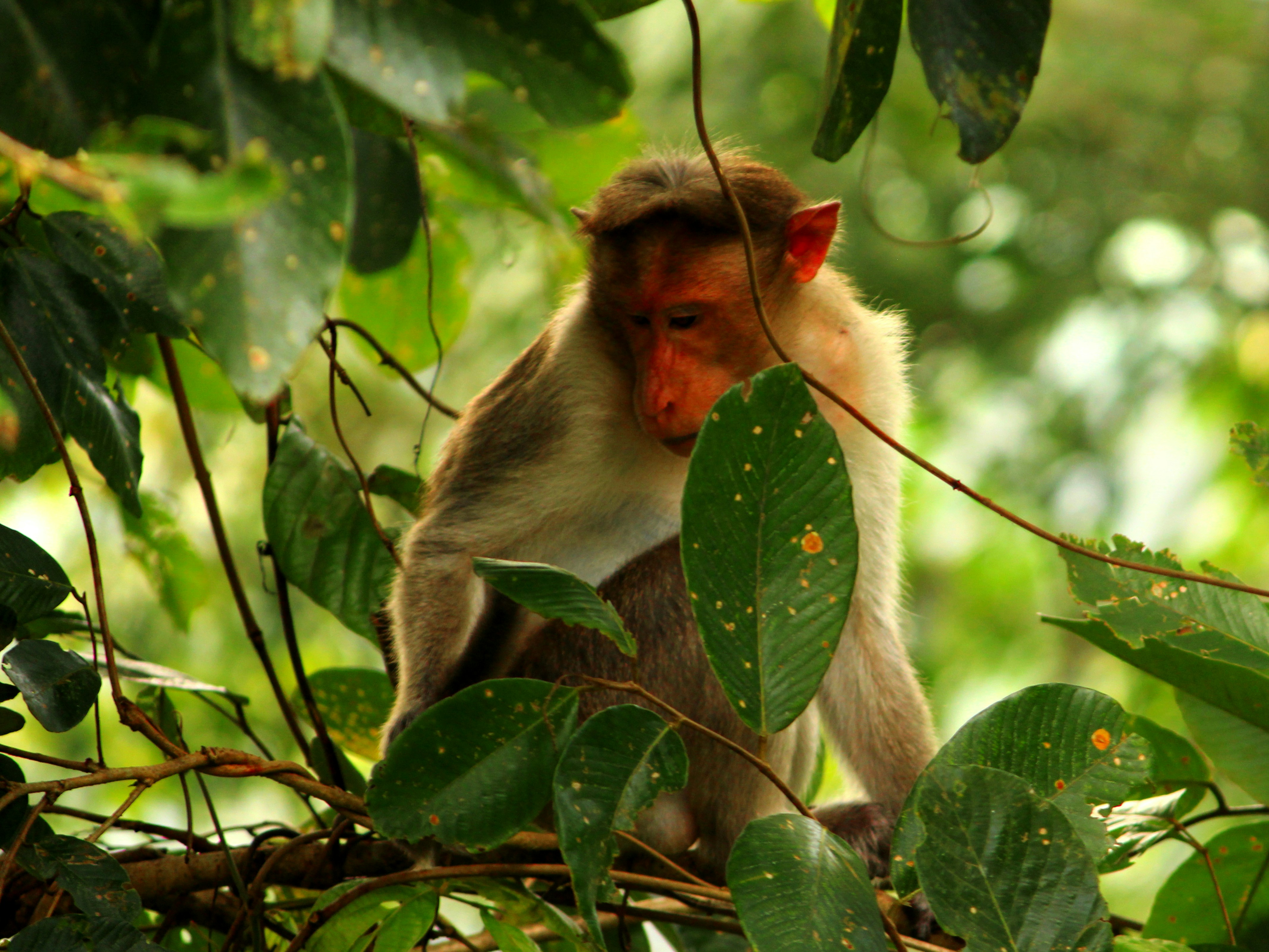 Photo by deep_erudite