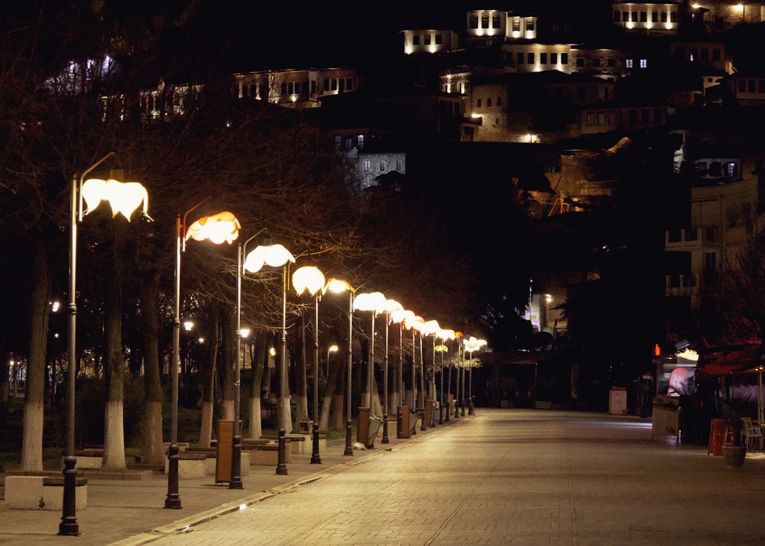 a row of street lamps sitting on the side of a road,