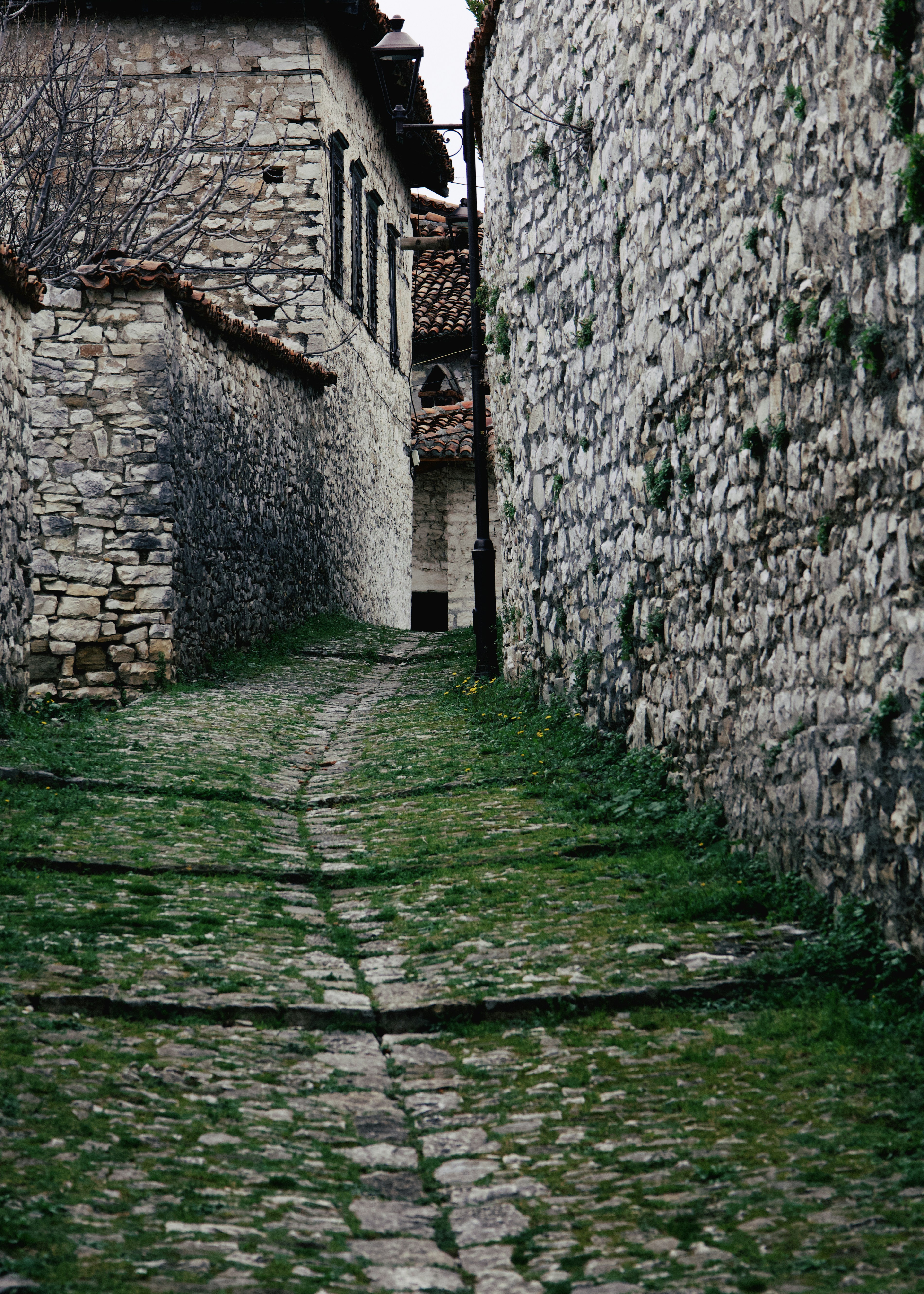 Photo by miguelalcantara