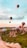 Hot air balloons float above a scenic landscape featuring unusual rock formations and a vast sky with soft hues. The balloons are various colors and sizes, adding vibrancy to the serene natural surroundings.