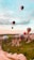 Hot air balloons float above a scenic landscape featuring unusual rock formations and a vast sky with soft hues. The balloons are various colors and sizes, adding vibrancy to the serene natural surroundings.