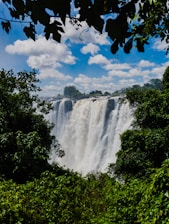 a large waterfall in the middle of a forest