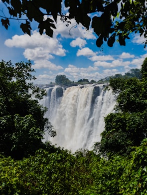 a large waterfall in the middle of a forest
