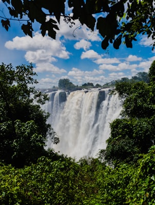 Zambia