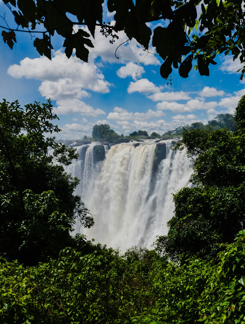 a large waterfall in the middle of a forest