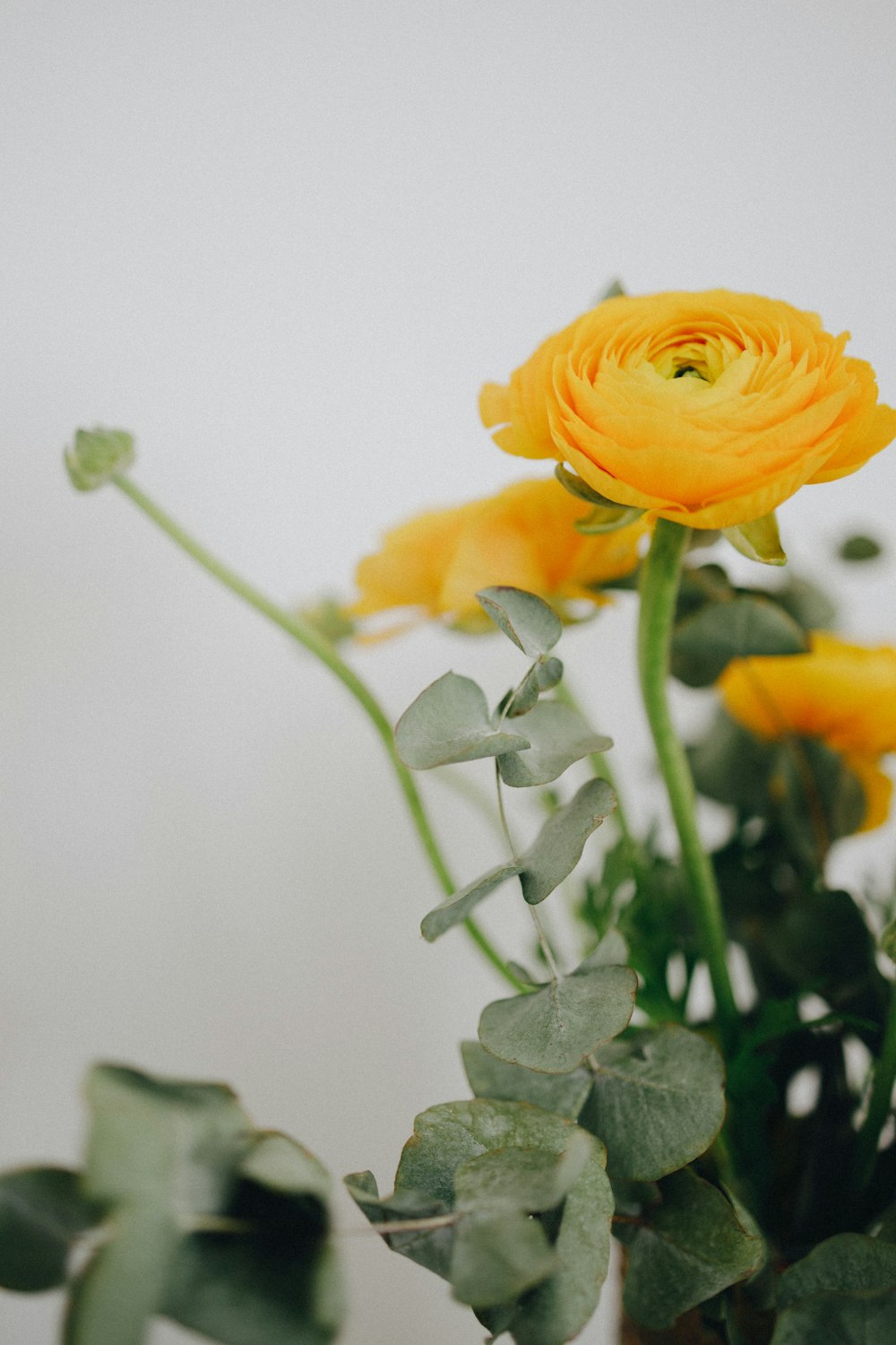 a close up of a yellow flower in a vase