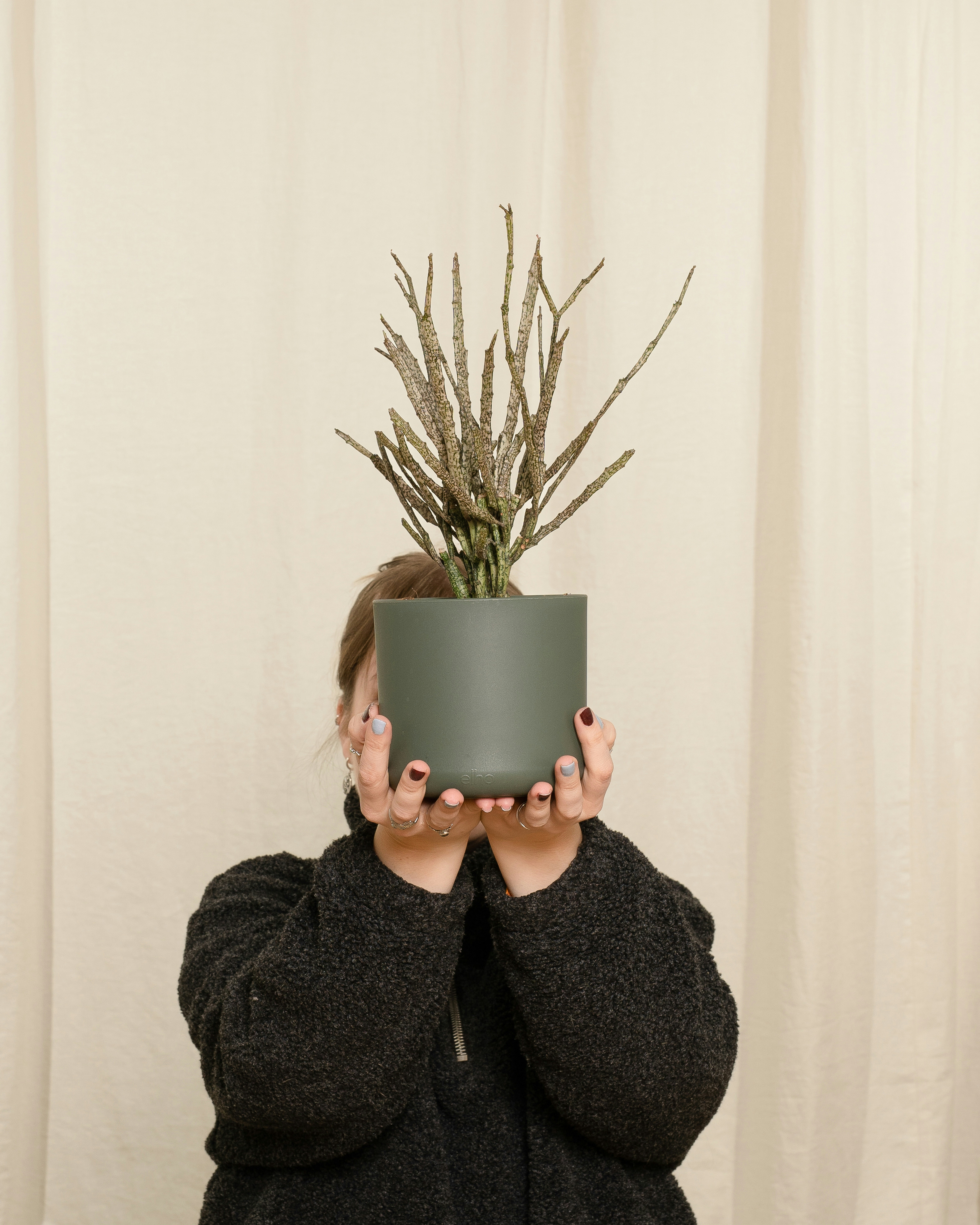 Photo by feeypflanzen