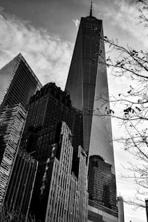 A dramatic black and white photograph featuring tall skyscrapers reaching into a cloudy sky, with intricate reflections on their glass surfaces. Shadows cast patterns across the buildings, adding texture and dimension. Bare tree branches frame the scene, providing contrast to the urban architecture.